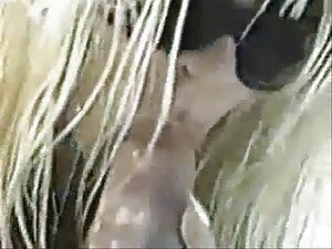 妻の喉の鞘 女性 が 見れる アダルト  ...
